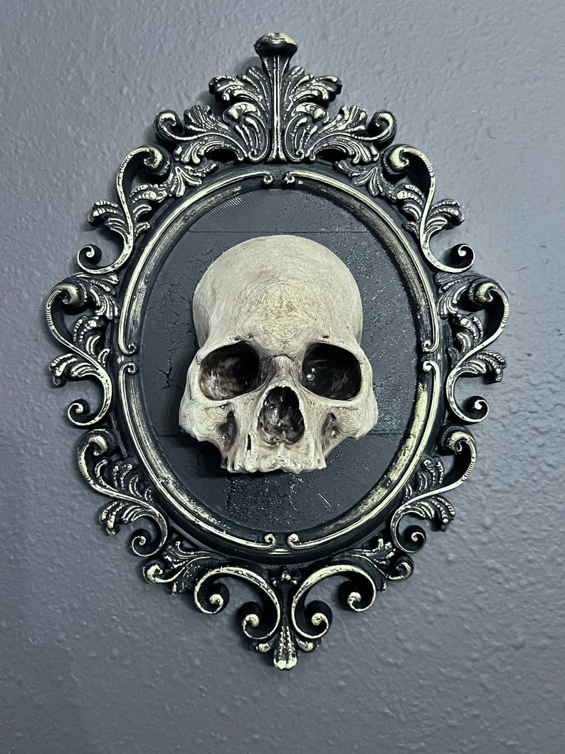 Gothic Framed Skull Wall Decor Bone colored