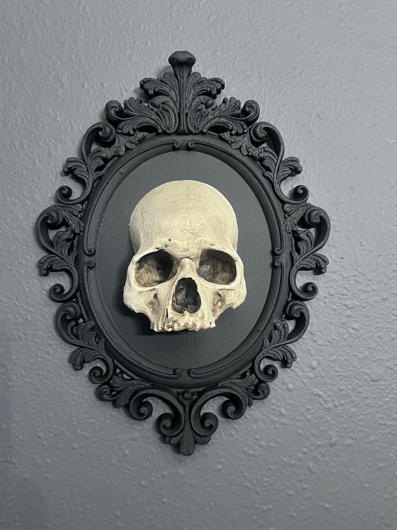 Gothic Framed Skull Wall Decor Bone colored