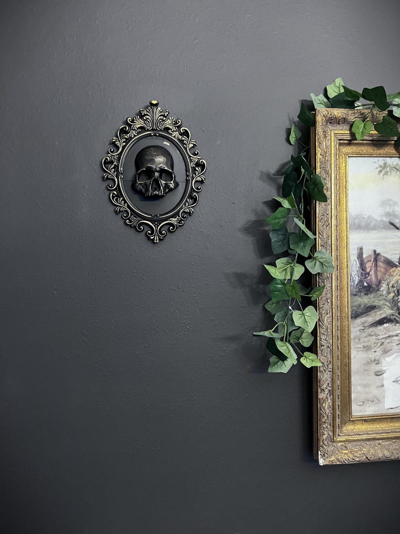 Gothic Framed Skull Wall Decor