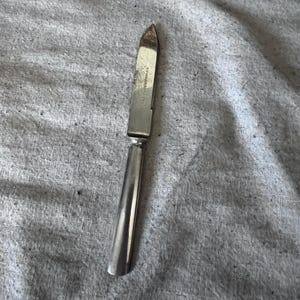 Vintage Wallace and Sons MFG Co. Silver plate Fruit Knife