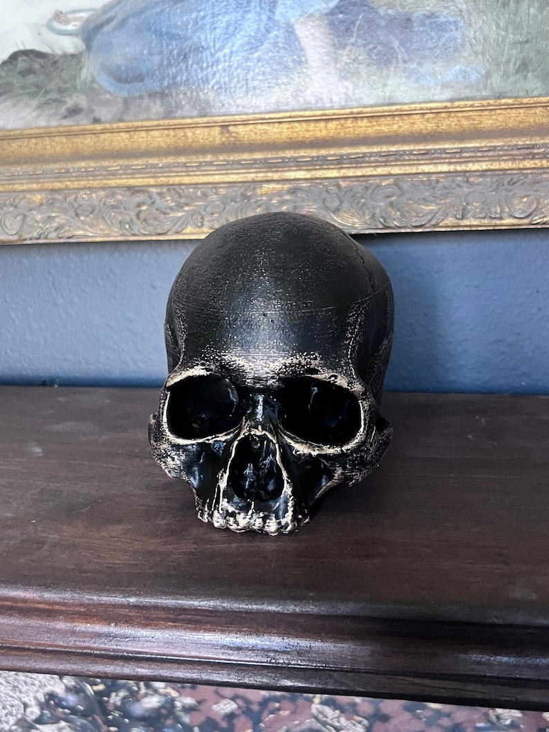Realistic detailed skull replica