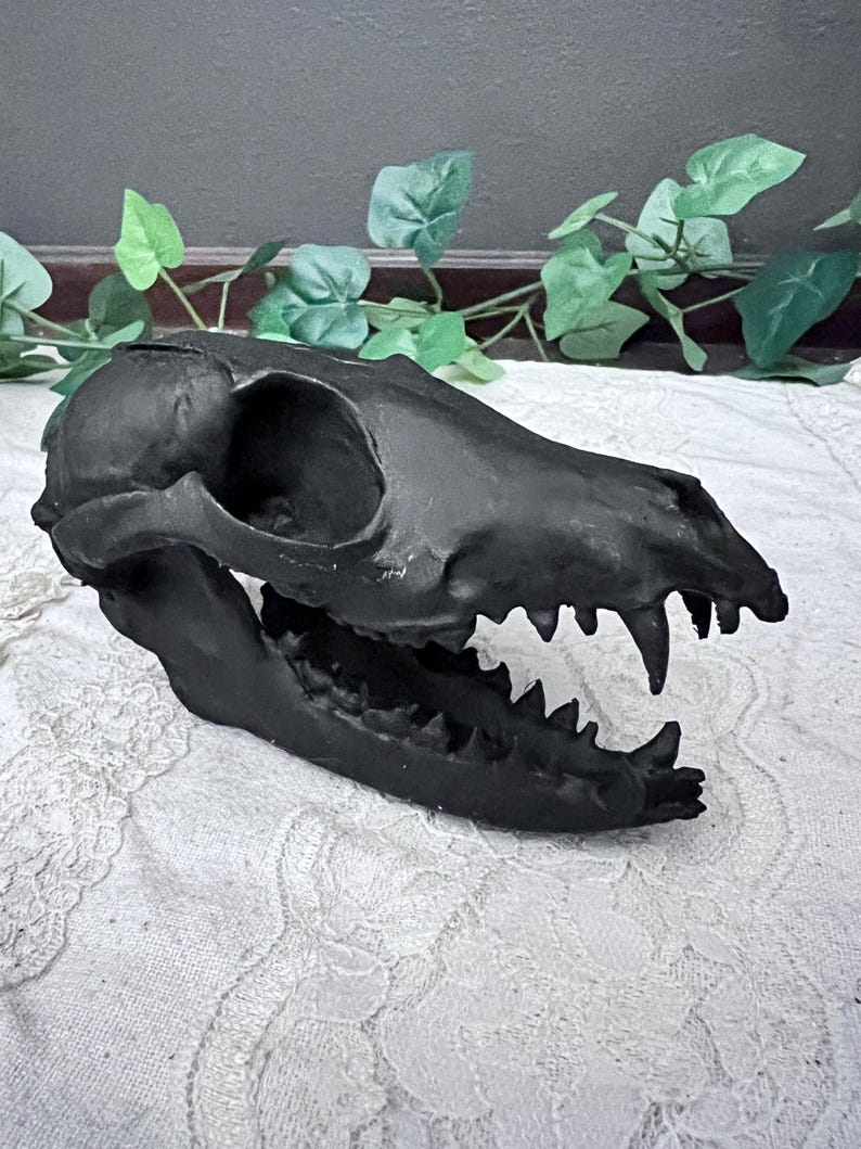Black Gothic Fox Skull Replica decor
