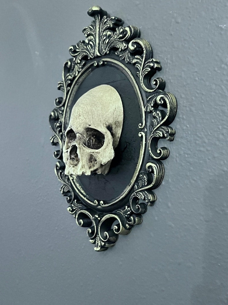 Gothic Framed Skull Wall Decor Bone colored
