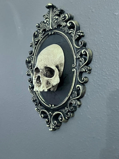 Gothic Framed Skull Wall Decor Bone colored