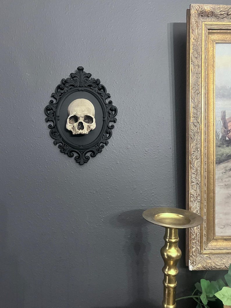 Gothic Framed Skull Wall Decor Bone colored