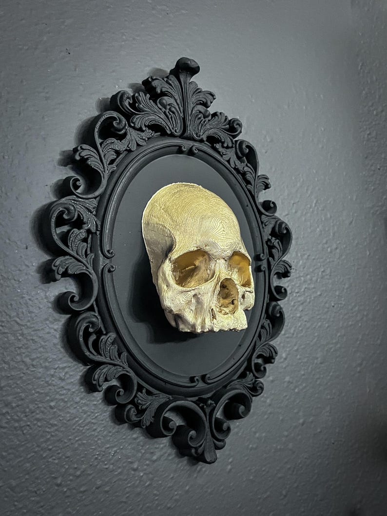 Gothic Framed Skull Wall Decor