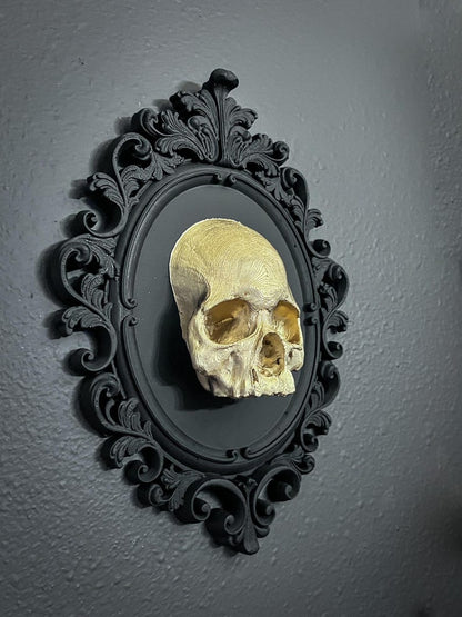 Gothic Framed Skull Wall Decor