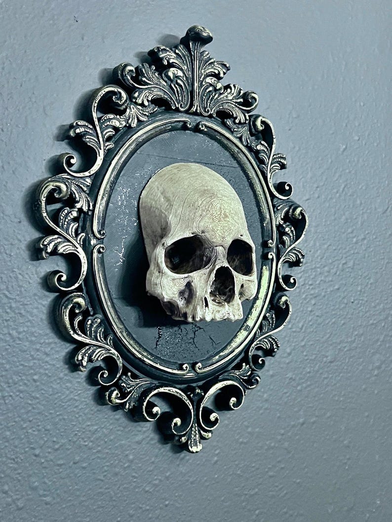 Gothic Framed Skull Wall Decor Bone colored