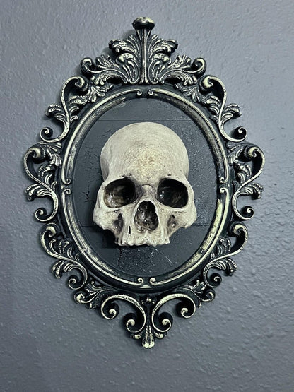 Gothic Framed Skull Wall Decor Bone colored