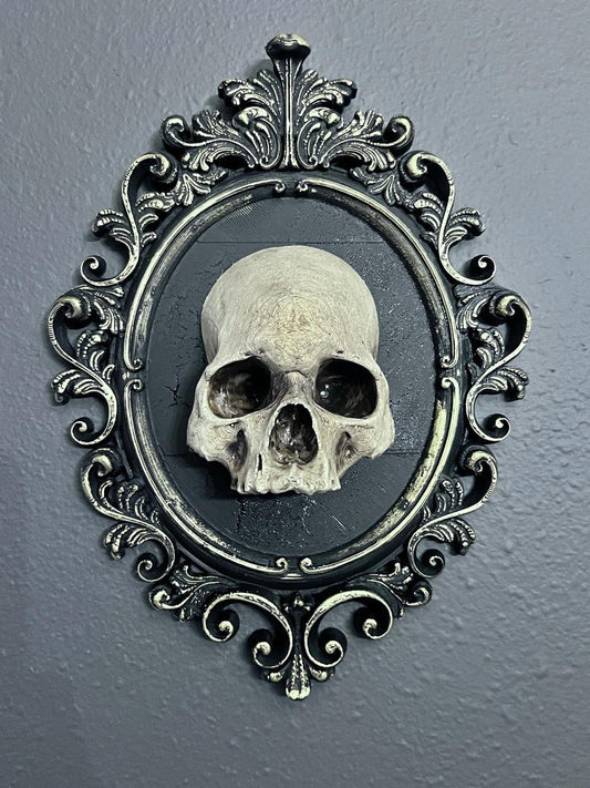 Gothic Framed Skull Wall Decor Bone colored