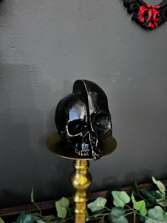 Asymmetrical Skull Decor