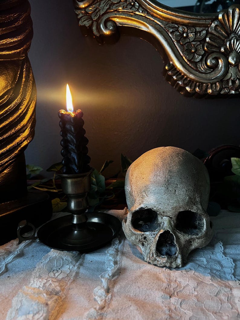 Realistic detailed skull replica