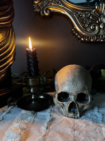Realistic detailed skull replica