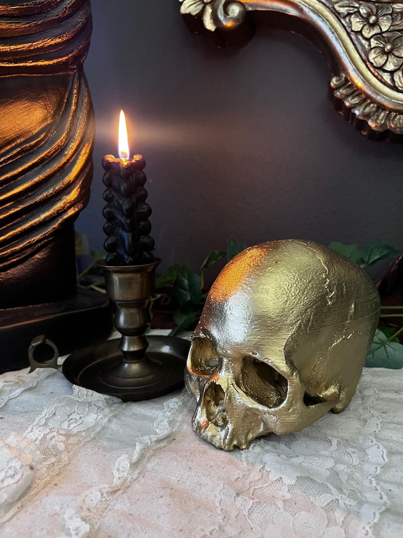 Realistic detailed skull replica