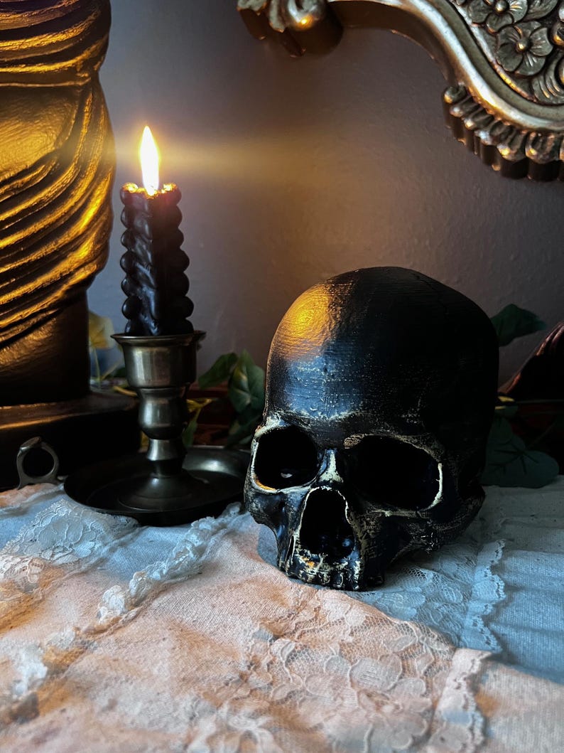 Realistic detailed skull replica