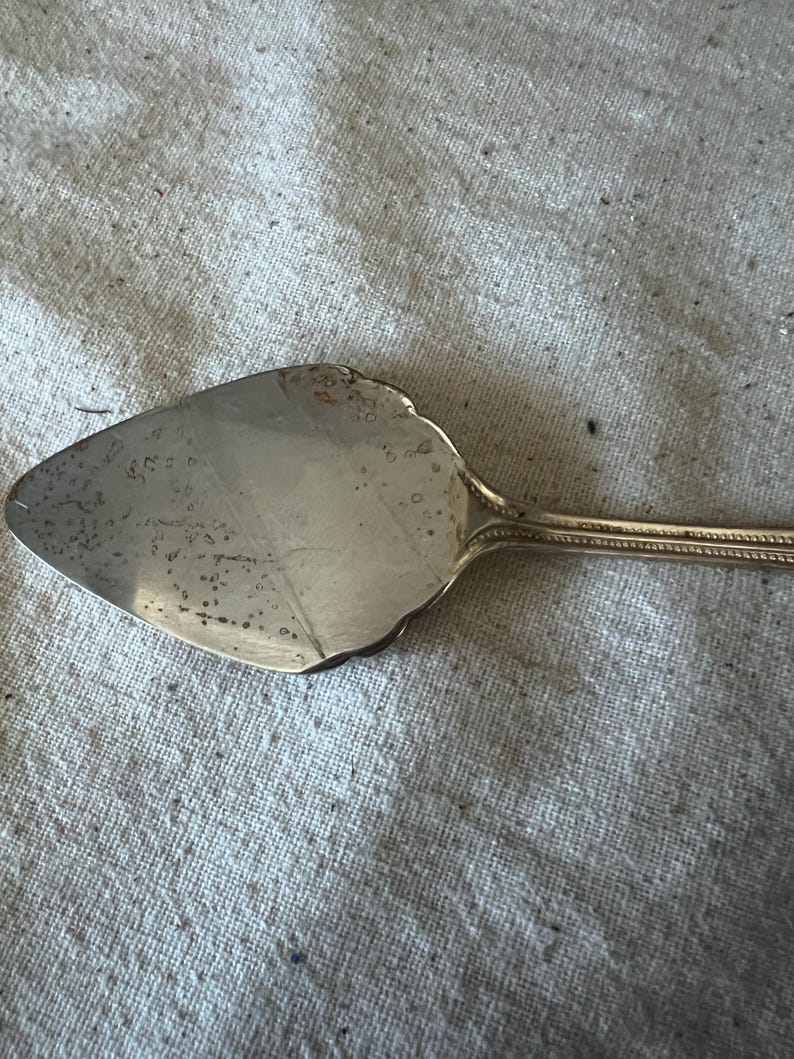 Vintage Silver plated Godinger Japan pie server