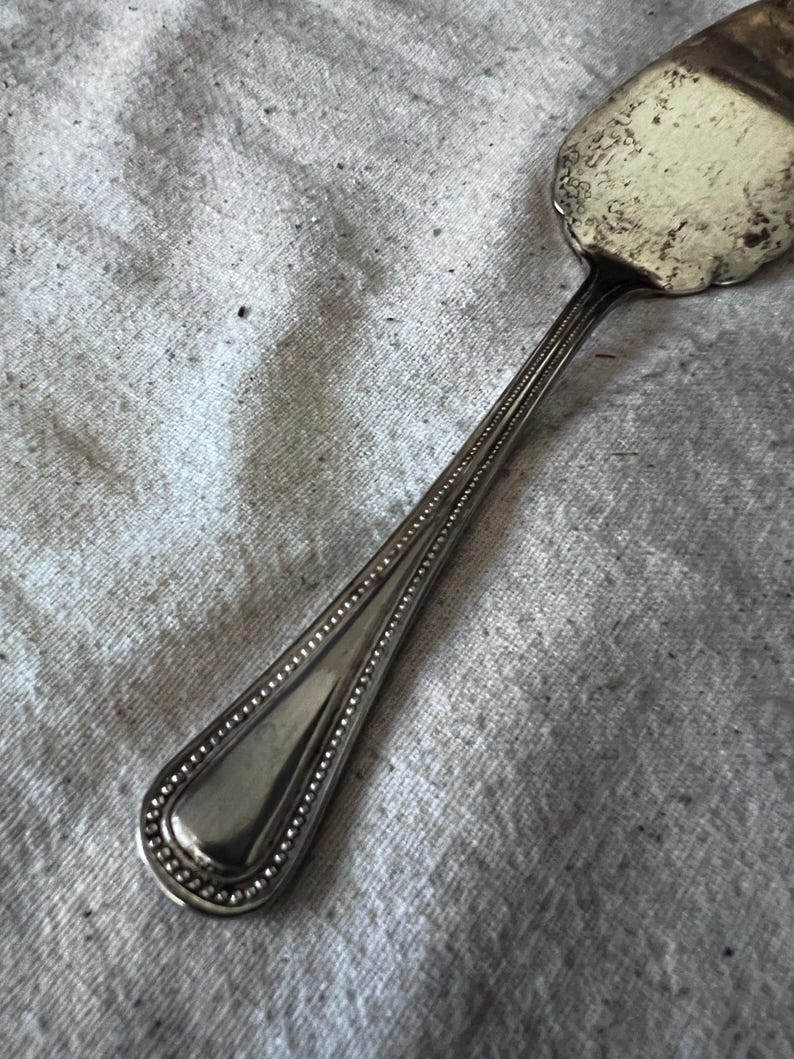 Vintage Silver plated Godinger Japan pie server
