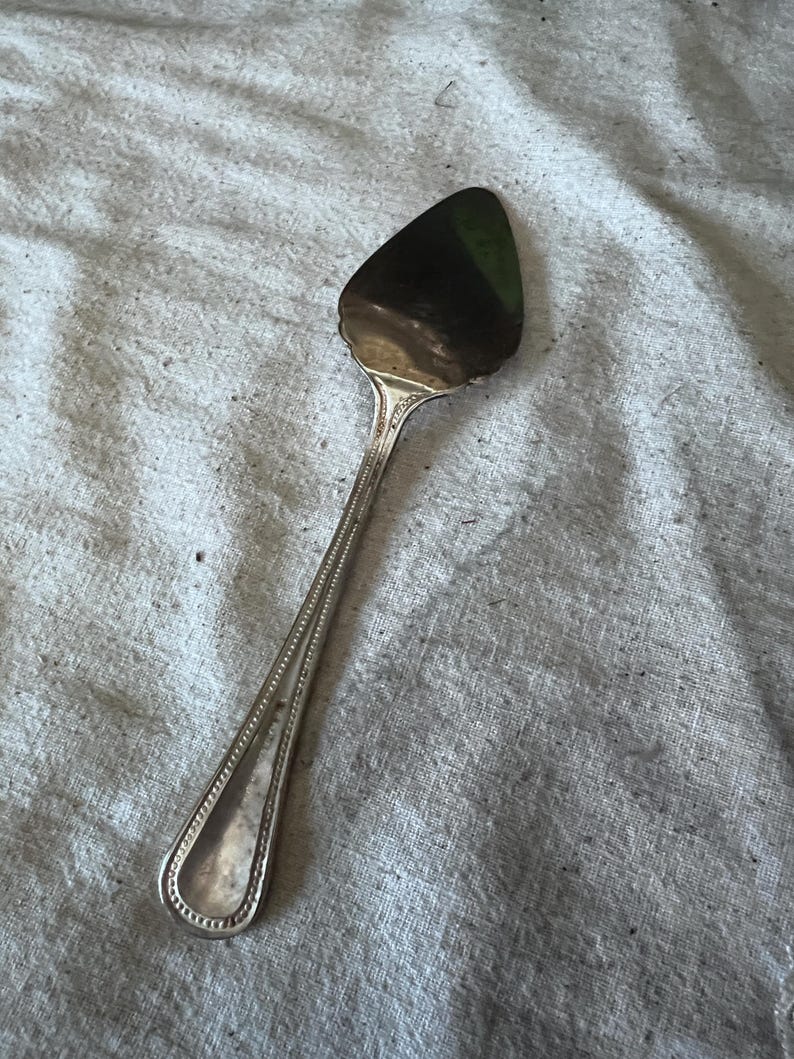 Vintage Silver plated Godinger Japan pie server