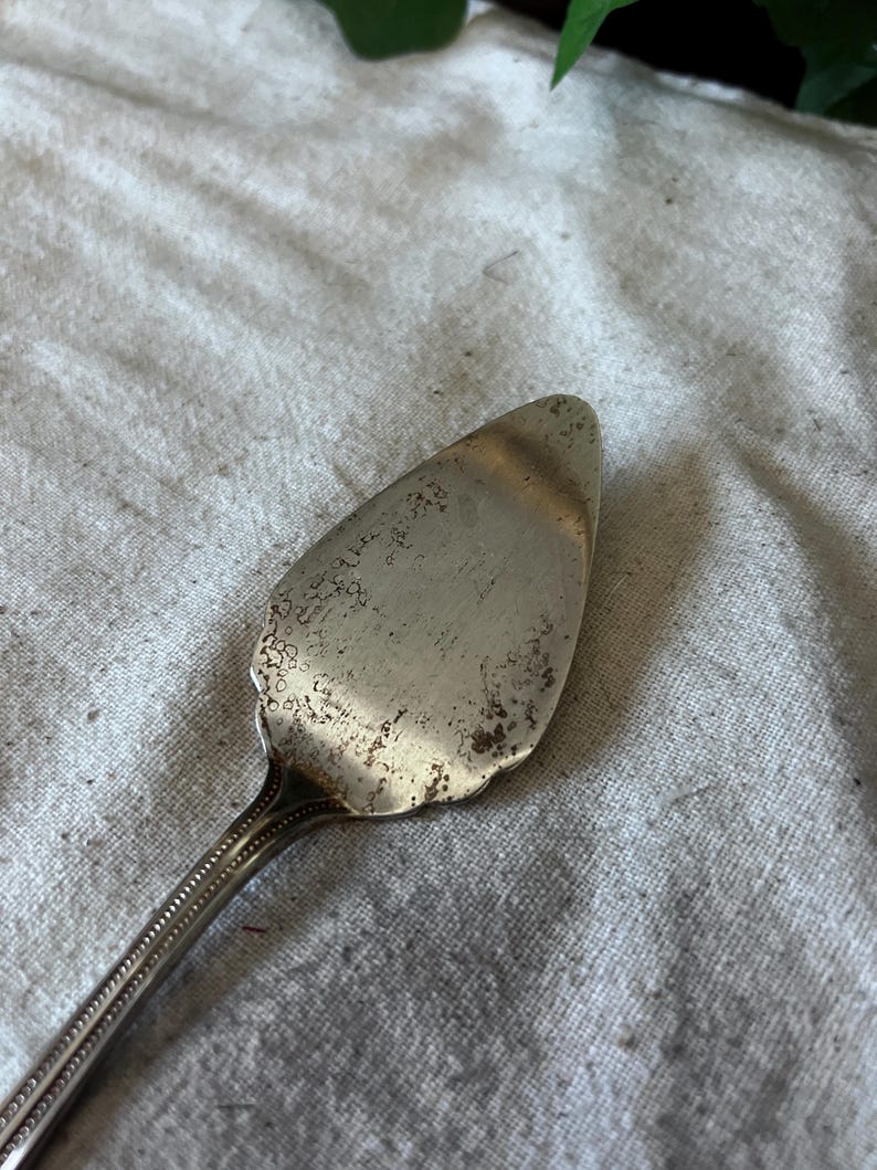 Vintage Silver plated Godinger Japan pie server