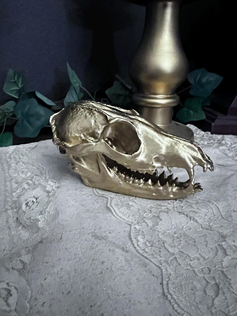 Black Gothic Fox Skull Replica decor