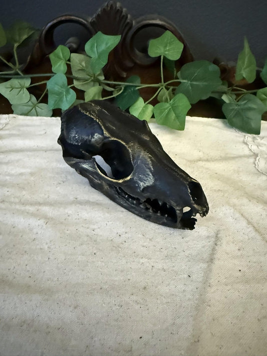 Black Gothic Fox Skull Replica decor