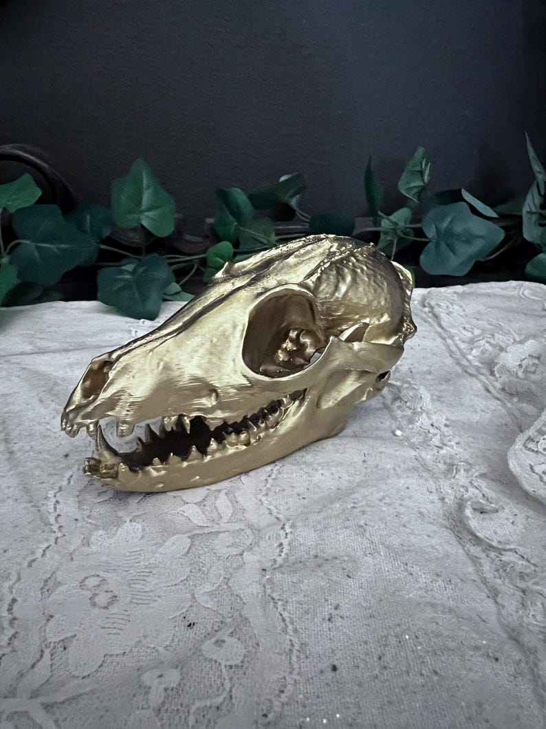 Black Gothic Fox Skull Replica decor