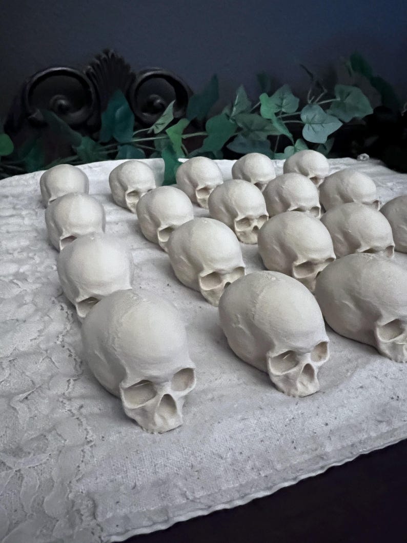 Lot of 20 Realistic Mini Skulls