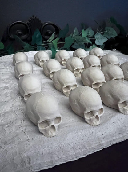 Lot of 20 Realistic Mini Skulls