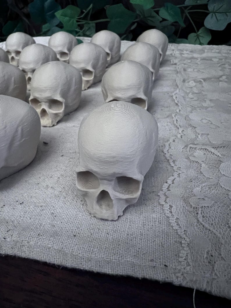 Lot of 20 Realistic Mini Skulls